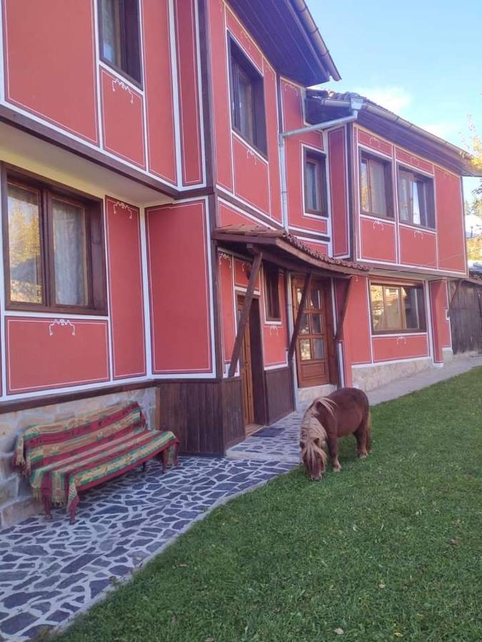 Стаи За Гости Дора Koprivstica Kültér fotó